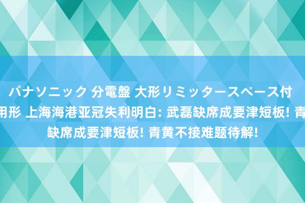 パナソニック 分電盤 大形リミッタースペース付 露出・半埋込両用形 上海海港亚冠失利明白: 武磊缺席成要津短板! 青黄不接难题待解!