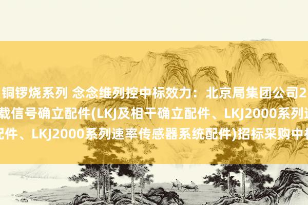 铜锣烧系列 念念维列控中标效力：北京局集团公司2025年度运营维修车载信号确立配件(LKJ及相干确立配件、LKJ2000系列速率传感器系统配件)招标采购中标公告