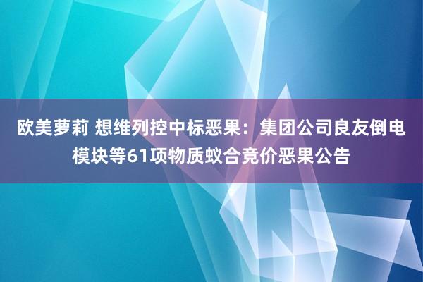 欧美萝莉 想维列控中标恶果：集团公司良友倒电模块等61项物质蚁合竞价恶果公告