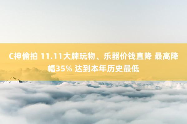 C神偷拍 11.11大牌玩物、乐器价钱直降 最高降幅35% 达到本年历史最低