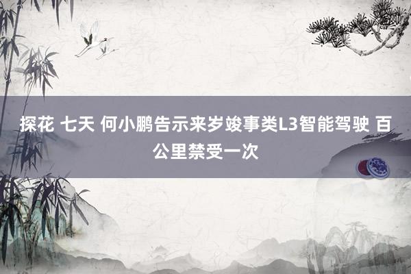 探花 七天 何小鹏告示来岁竣事类L3智能驾驶 百公里禁受一次