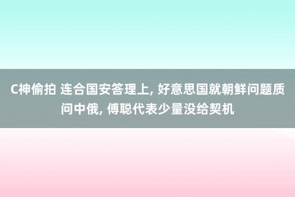 C神偷拍 连合国安答理上， 好意思国就朝鲜问题质问中俄， 傅聪代表少量没给契机