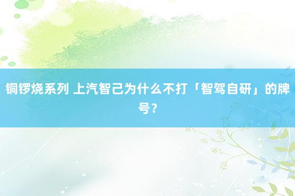 铜锣烧系列 上汽智己为什么不打「智驾自研」的牌号？