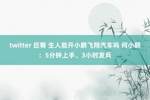 twitter 巨臀 生人能开小鹏飞翔汽车吗 何小鹏：5分钟上手、3小时发兵