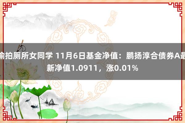 偷拍厕所女同学 11月6日基金净值：鹏扬淳合债券A最新净值1.0911，涨0.01%