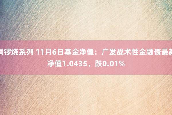 铜锣烧系列 11月6日基金净值：广发战术性金融债最新净值1.0435，跌0.01%