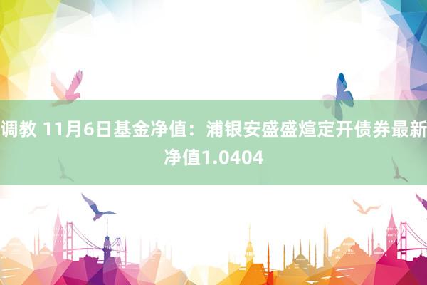 调教 11月6日基金净值：浦银安盛盛煊定开债券最新净值1.0404