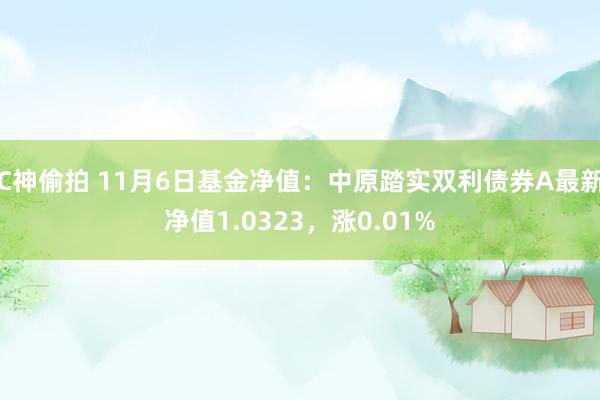 C神偷拍 11月6日基金净值：中原踏实双利债券A最新净值1.0323，涨0.01%