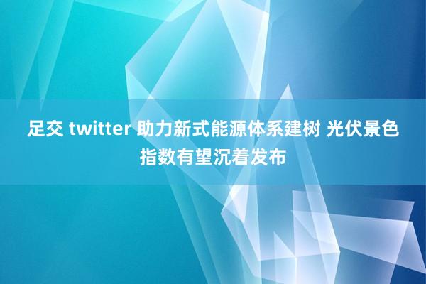 足交 twitter 助力新式能源体系建树 光伏景色指数有望沉着发布