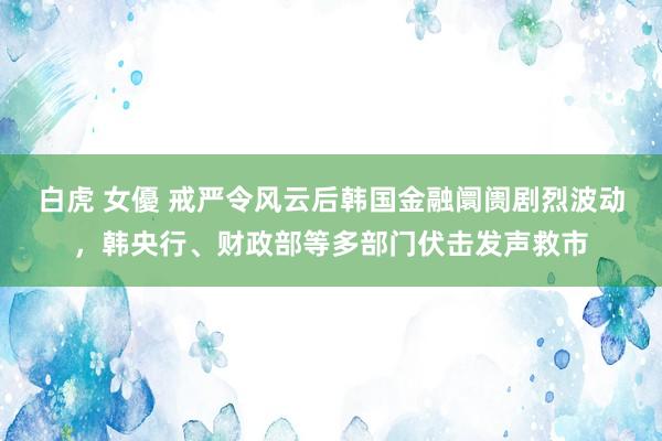 白虎 女優 戒严令风云后韩国金融阛阓剧烈波动，韩央行、财政部等多部门伏击发声救市