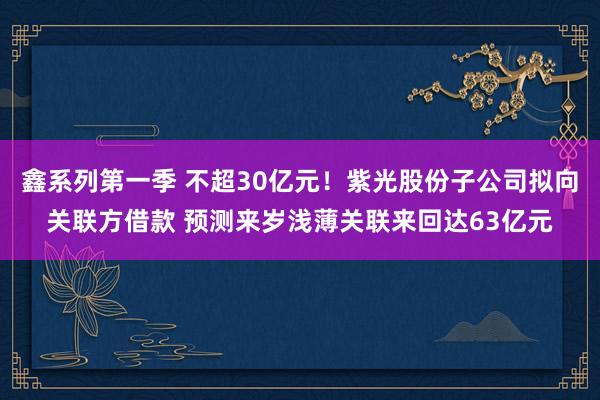 鑫系列第一季 不超30亿元！紫光股份子公司拟向关联方借款 预测来岁浅薄关联来回达63亿元