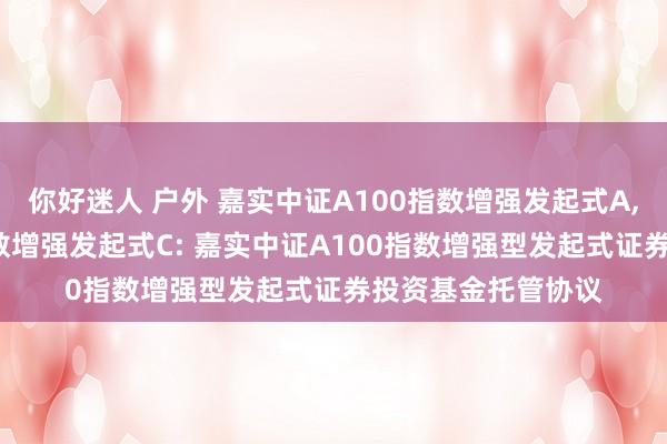 你好迷人 户外 嘉实中证A100指数增强发起式A，嘉实中证A100指数增强发起式C: 嘉实中证A100指数增强型发起式证券投资基金托管协议