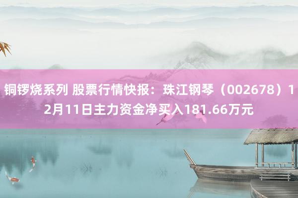 铜锣烧系列 股票行情快报：珠江钢琴（002678）12月11日主力资金净买入181.66万元