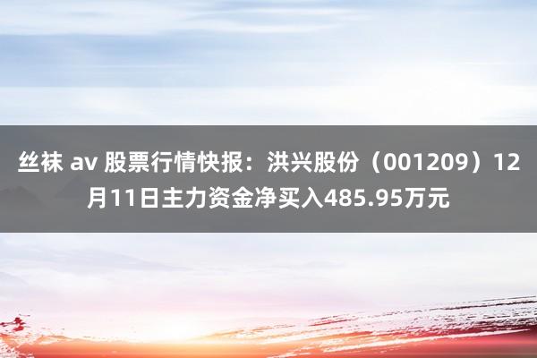 丝袜 av 股票行情快报：洪兴股份（001209）12月11日主力资金净买入485.95万元