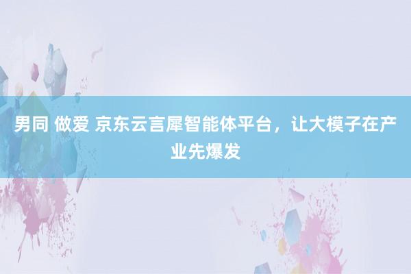 男同 做爱 京东云言犀智能体平台，让大模子在产业先爆发