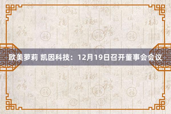 欧美萝莉 凯因科技：12月19日召开董事会会议