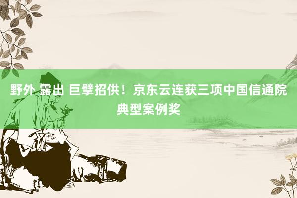 野外 露出 巨擘招供！京东云连获三项中国信通院典型案例奖