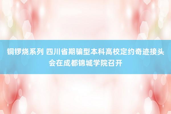 铜锣烧系列 四川省期骗型本科高校定约奇迹接头会在成都锦城学院召开