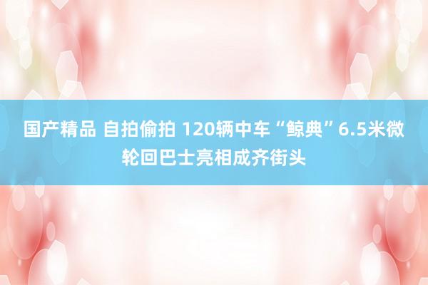 国产精品 自拍偷拍 120辆中车“鲸典”6.5米微轮回巴士亮相成齐街头