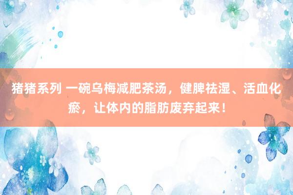 猪猪系列 一碗乌梅减肥茶汤，健脾祛湿、活血化瘀，让体内的脂肪废弃起来！