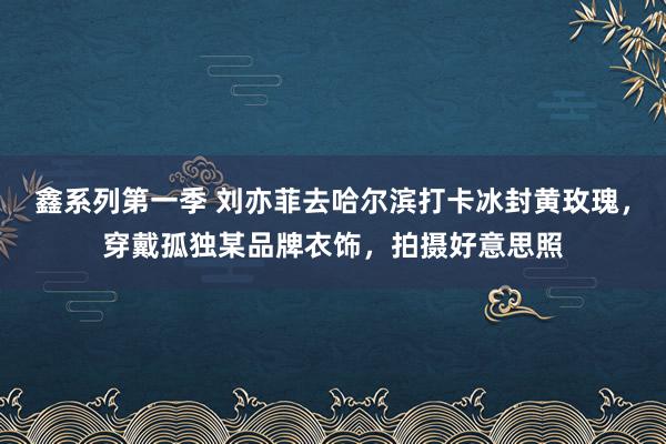 鑫系列第一季 刘亦菲去哈尔滨打卡冰封黄玫瑰，穿戴孤独某品牌衣饰，拍摄好意思照