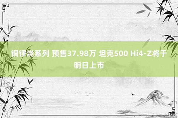 铜锣烧系列 预售37.98万 坦克500 Hi4-Z将于明日上市