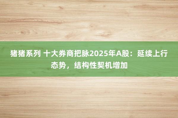 猪猪系列 十大券商把脉2025年A股：延续上行态势，结构性契机增加