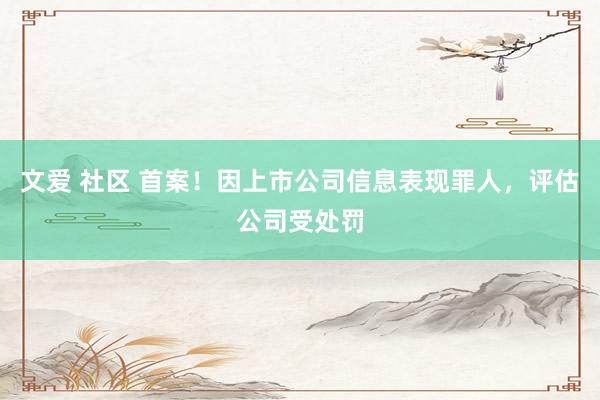 文爱 社区 首案！因上市公司信息表现罪人，评估公司受处罚