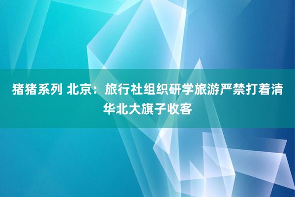 猪猪系列 北京：旅行社组织研学旅游严禁打着清华北大旗子收客