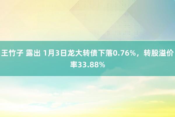 王竹子 露出 1月3日龙大转债下落0.76%，转股溢价率33.88%