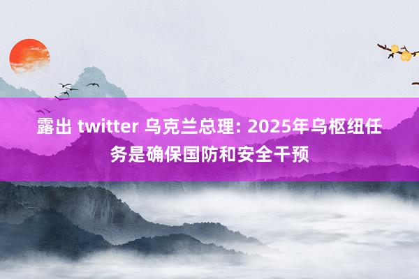 露出 twitter 乌克兰总理: 2025年乌枢纽任务是确保国防和安全干预