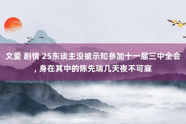 文爱 剧情 25东谈主没被示知参加十一届三中全会， 身在其中的陈先瑞几天夜不可寐