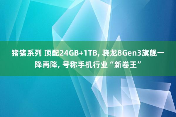 猪猪系列 顶配24GB+1TB， 骁龙8Gen3旗舰一降再降， 号称手机行业“新卷王”