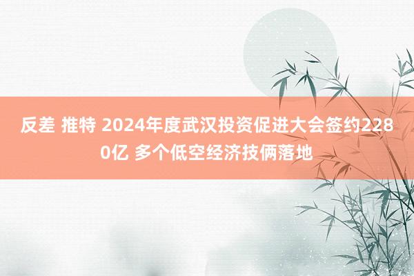 反差 推特 2024年度武汉投资促进大会签约2280亿 多个低空经济技俩落地