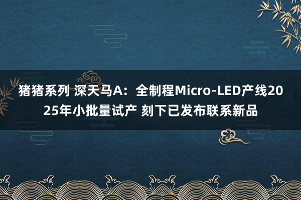 猪猪系列 深天马A：全制程Micro-LED产线2025年小批量试产 刻下已发布联系新品