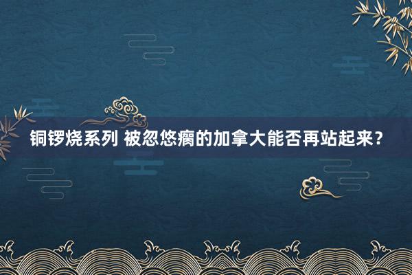 铜锣烧系列 被忽悠瘸的加拿大能否再站起来？