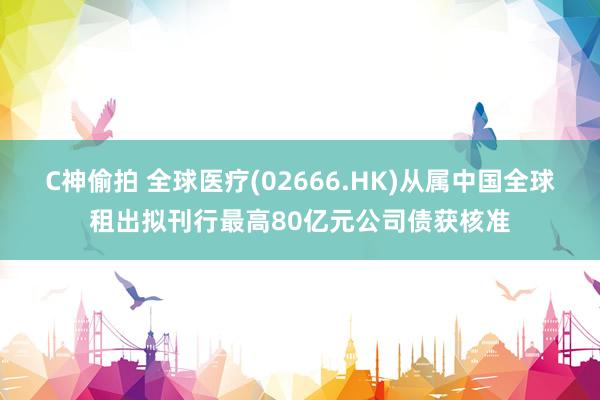 C神偷拍 全球医疗(02666.HK)从属中国全球租出拟刊行最高80亿元公司债获核准