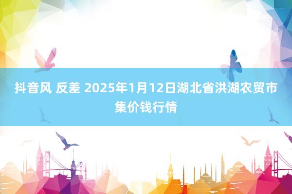 抖音风 反差 2025年1月12日湖北省洪湖农贸市集价钱行情