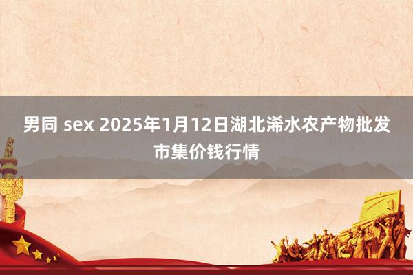 男同 sex 2025年1月12日湖北浠水农产物批发市集价钱行情