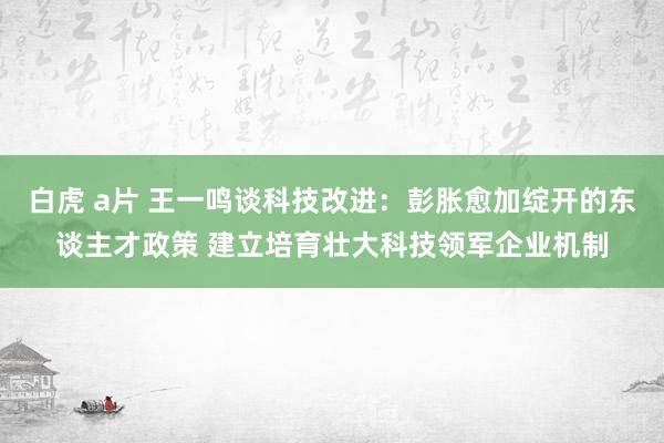 白虎 a片 王一鸣谈科技改进：彭胀愈加绽开的东谈主才政策 建立培育壮大科技领军企业机制