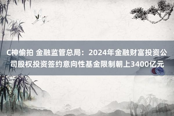 C神偷拍 金融监管总局：2024年金融财富投资公司股权投资签约意向性基金限制朝上3400亿元