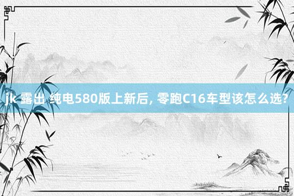 jk 露出 纯电580版上新后， 零跑C16车型该怎么选?