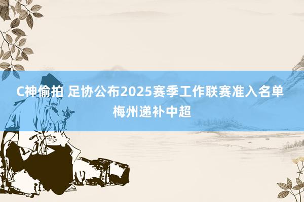 C神偷拍 足协公布2025赛季工作联赛准入名单 梅州递补中超